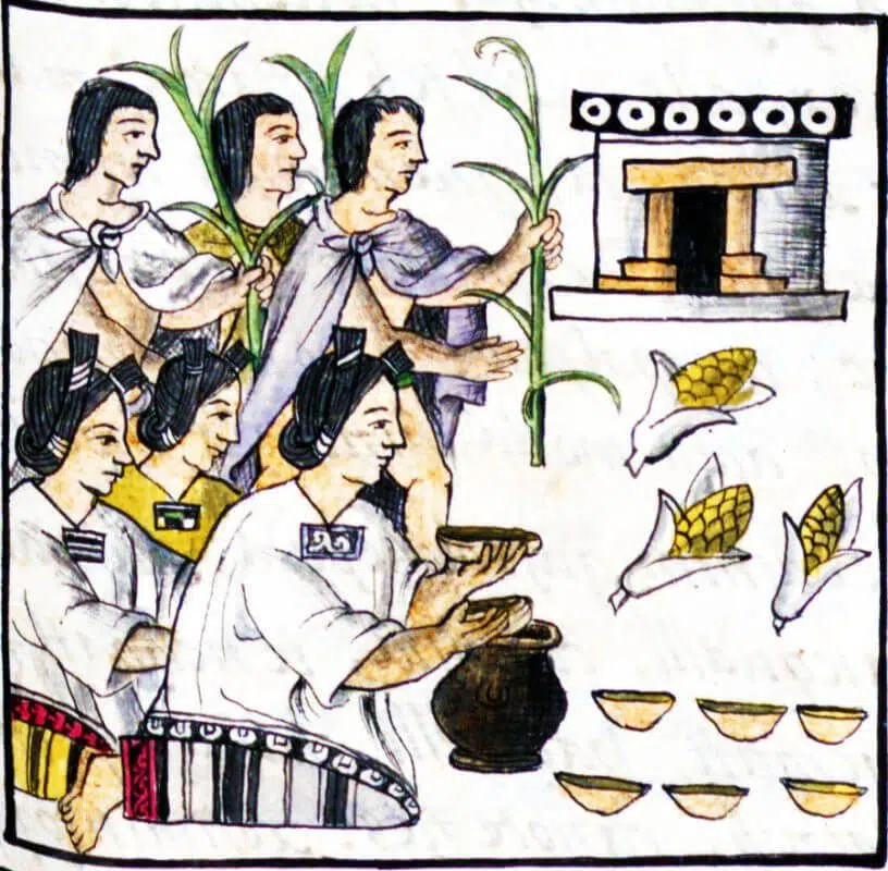 tortitas de maiz aztecas