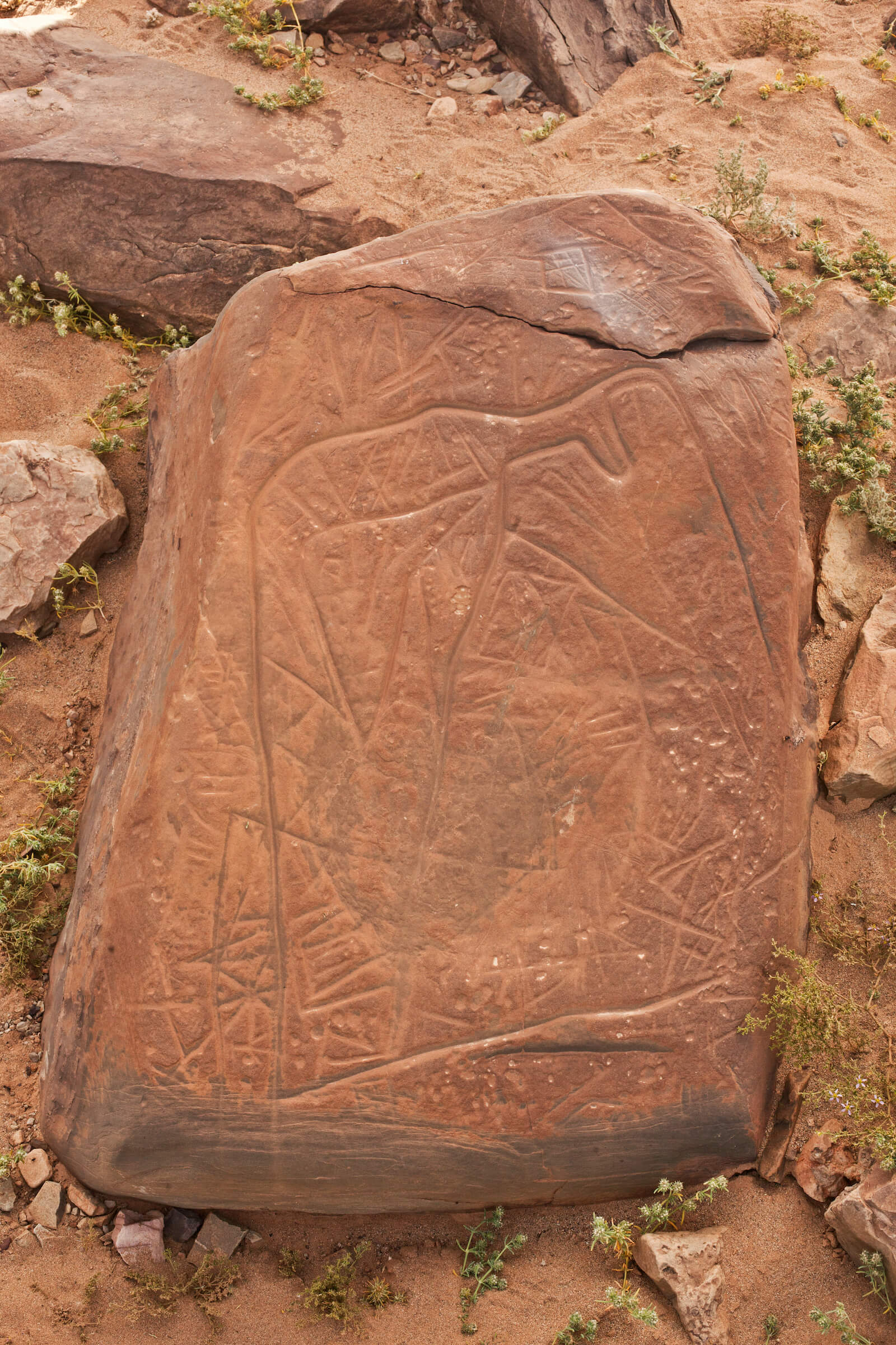 Representaciones de estilo Tazina de Timlalin (valle del Tamanart).