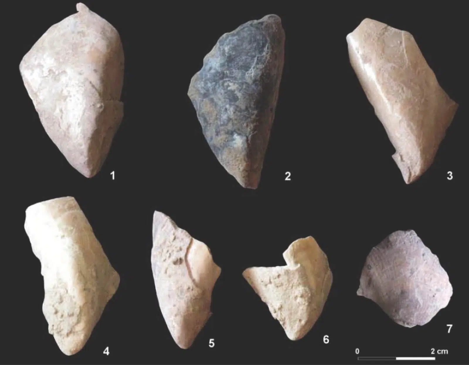 yacimiento de Bajondillo málaga neandertales iberia