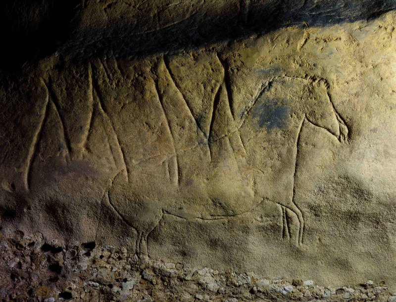 caballos en la prehistoria